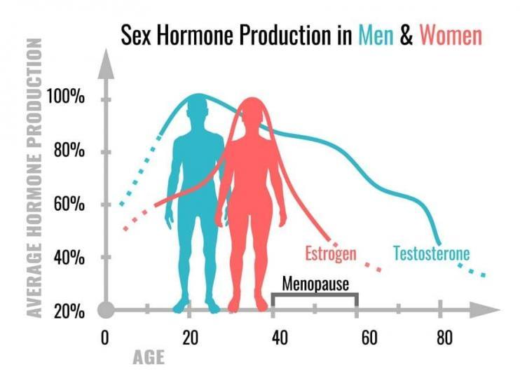 How To Increase Testosterone In Women Build Younger And Energetic Body