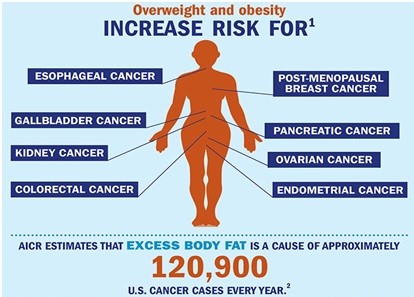 Correlation between excess fat and Cancer diseases