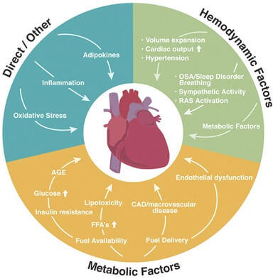 Obesity and its effects