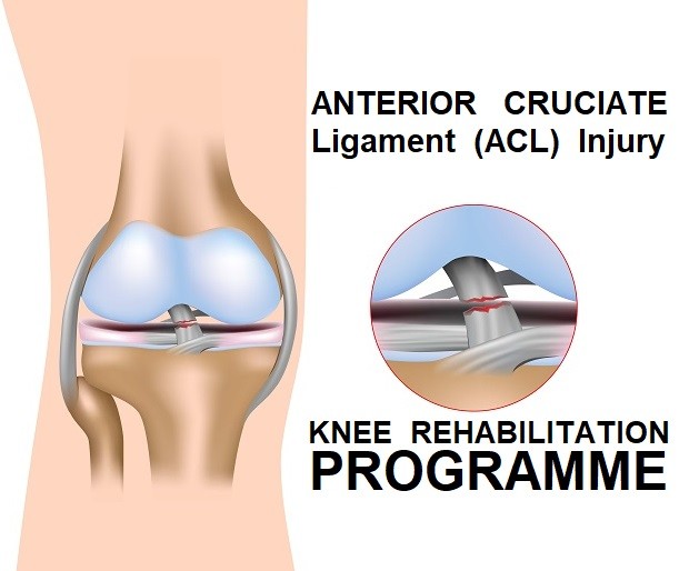What Is ACL Injury and How to Overcome It with a Sports Injury Rehabilitation Coach in London?