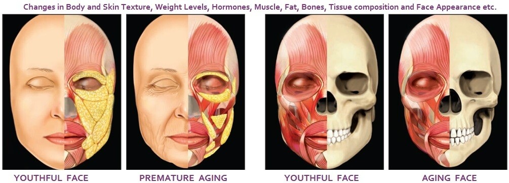 Factors of Aging
