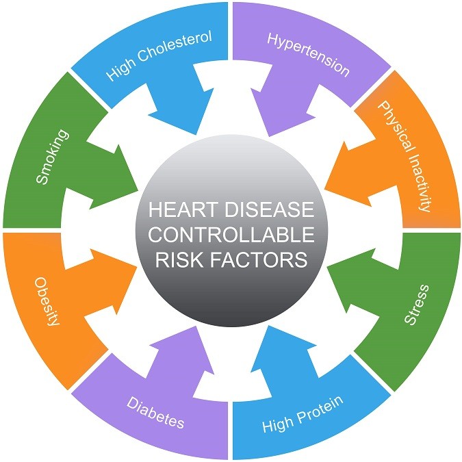 Heart disease risk factors-1-15
