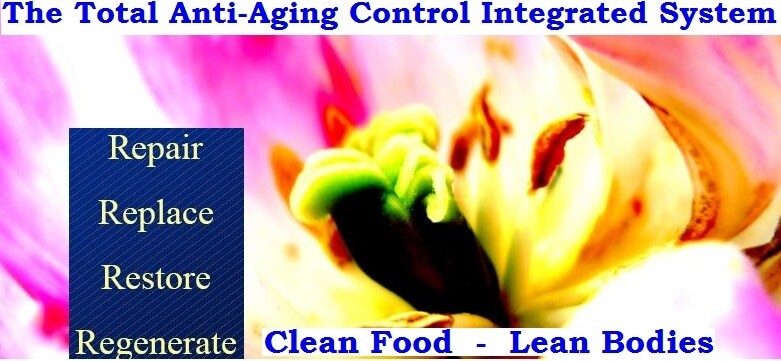 Anti-Aging Control System