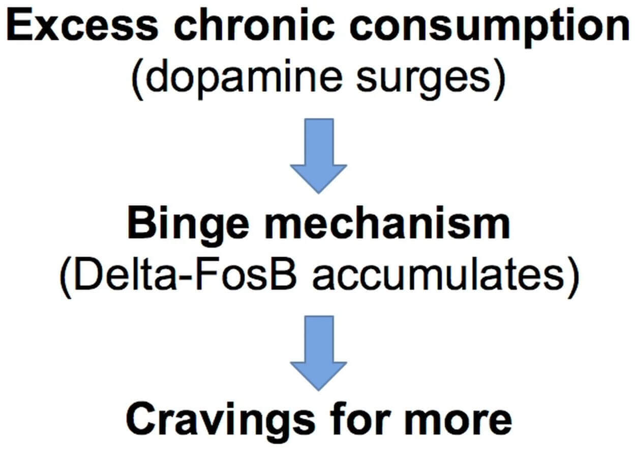 Chronic Consumption