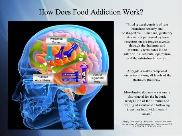 How does food Addiction Work