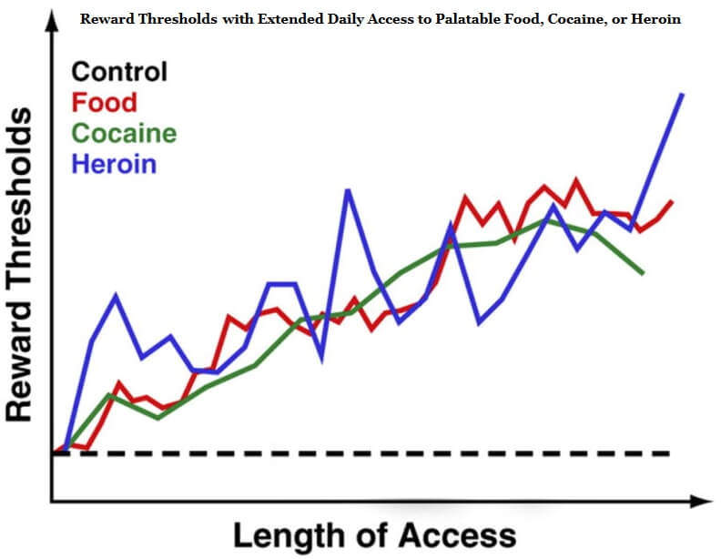 Palatable Food, Cocaine, or Heroin