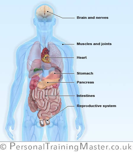 Signs of Aging