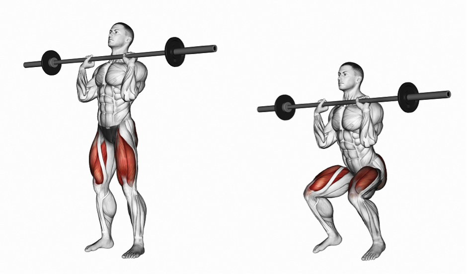 How To Squat Correctly- Learn Proper Squat Form