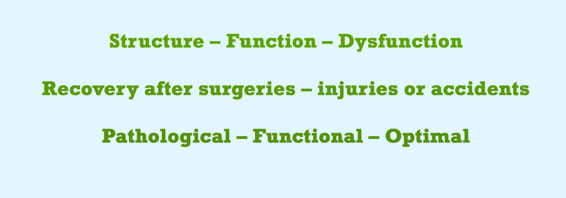 Injury Rehabilitation-1