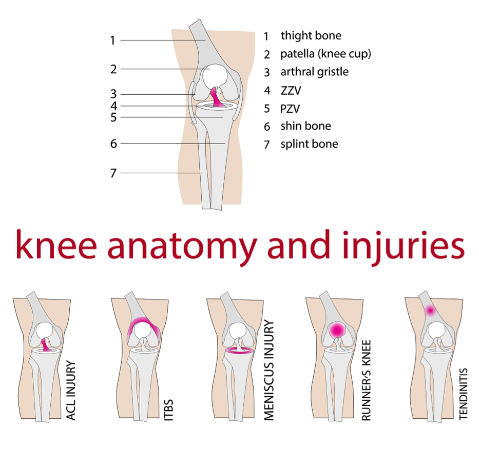 Knee Injury Rehabilitation