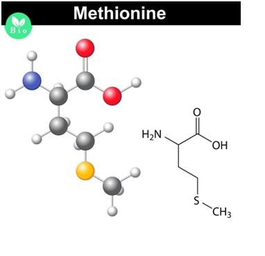 Methionine