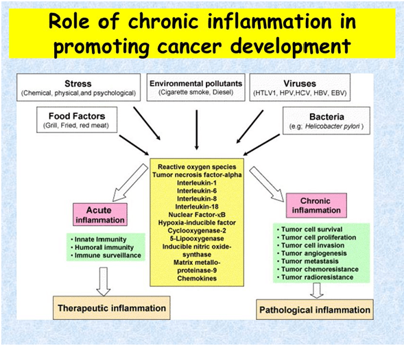 Anti Inflammatory