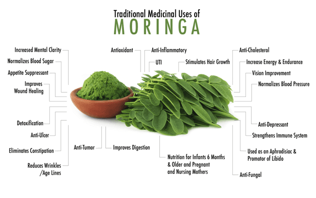 Moringa Leaves