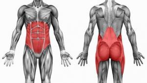 Core Muscles Pilates