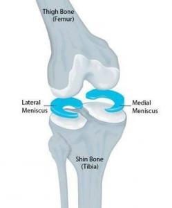 Lateral and Medial Meniscus