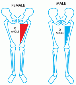 female and male Q-Angles
