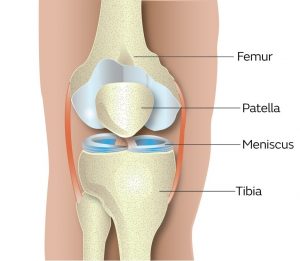 Meniscus Injury Rehabilitation Programme