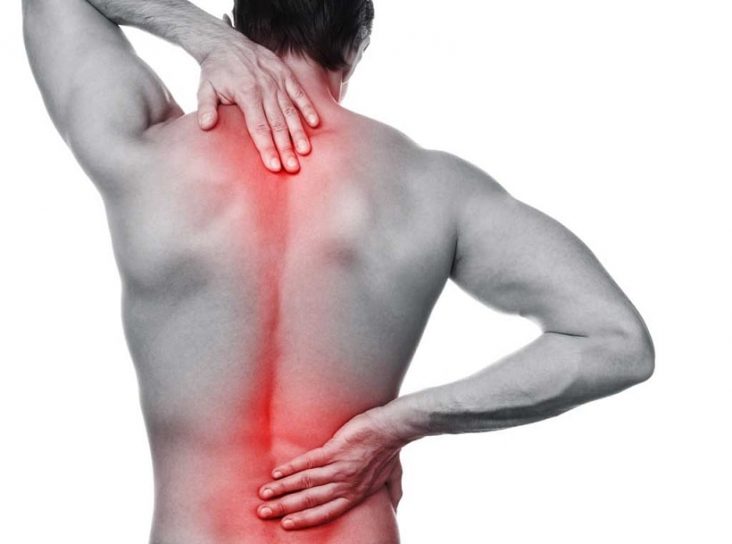 Low Back Pain Rehab