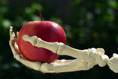 hand bone skeleton holding apple