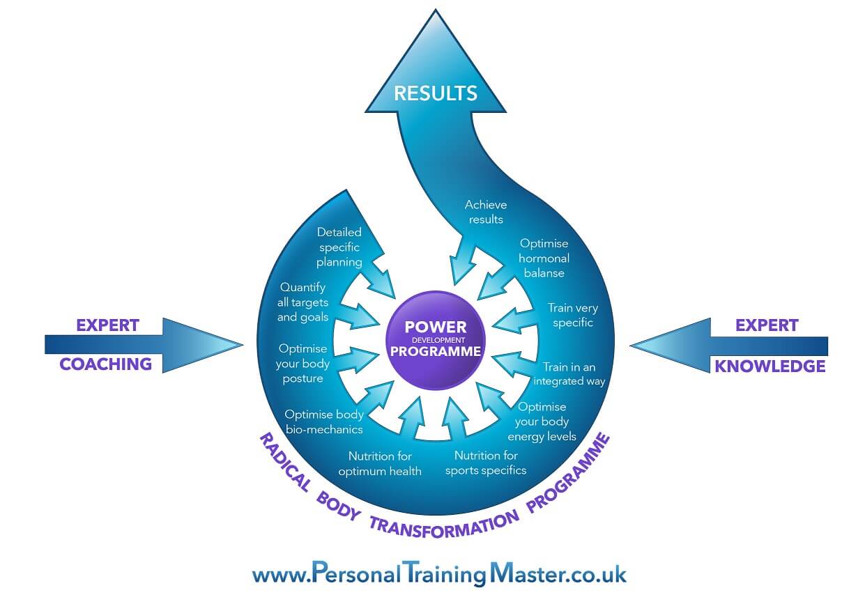 expert coaching diagram